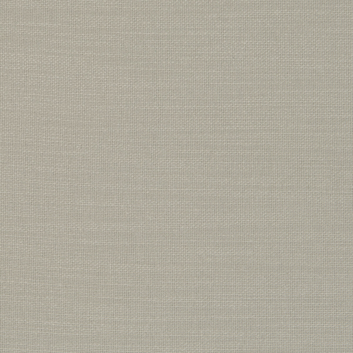 Nantucket fabric in lichen color - pattern F0594/29.CAC.0 - by Clarke And Clarke in the Clarke & Clarke Nantucket collection