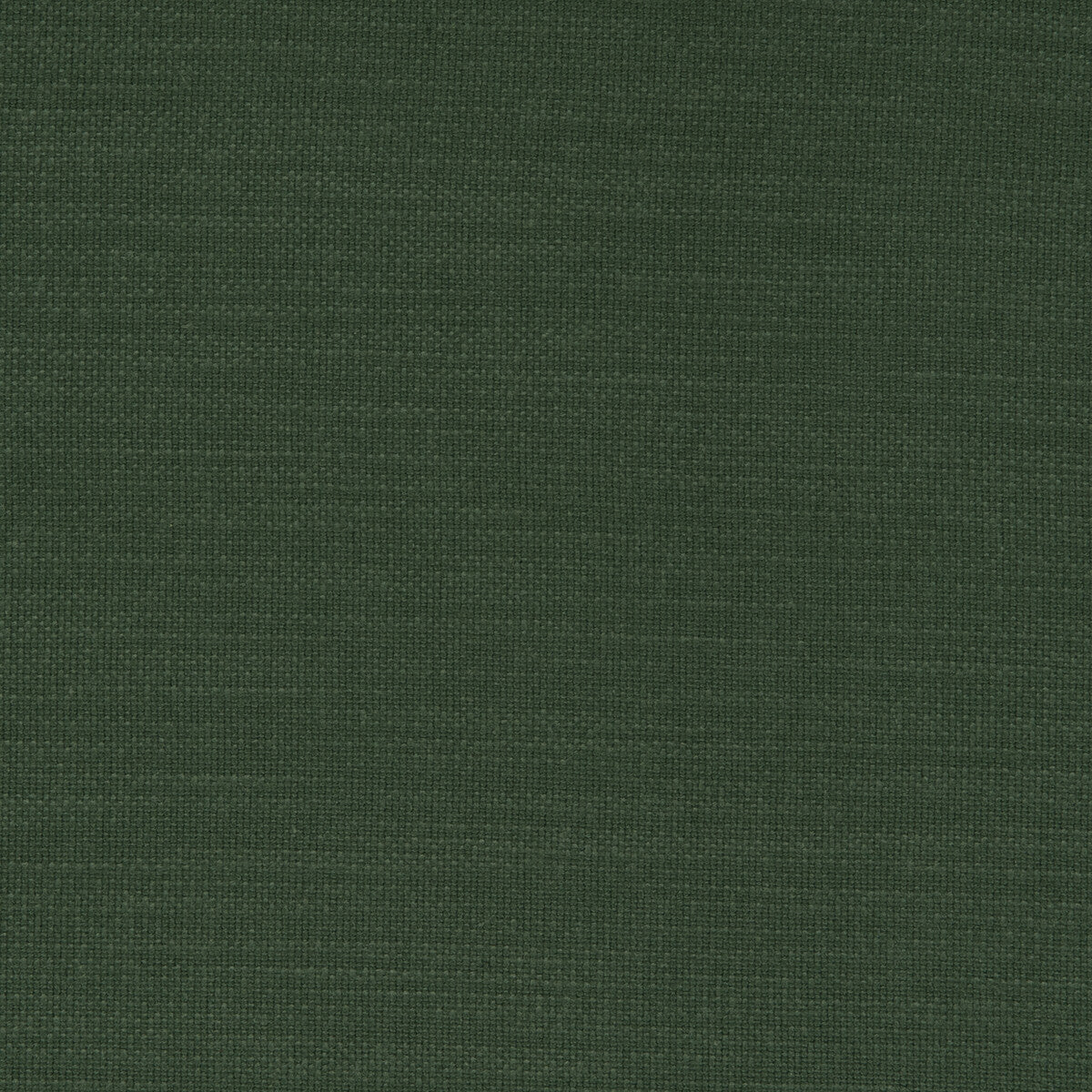 Nantucket fabric in malachite color - pattern F0594/32.CAC.0 - by Clarke And Clarke in the Clarke & Clarke Nantucket collection