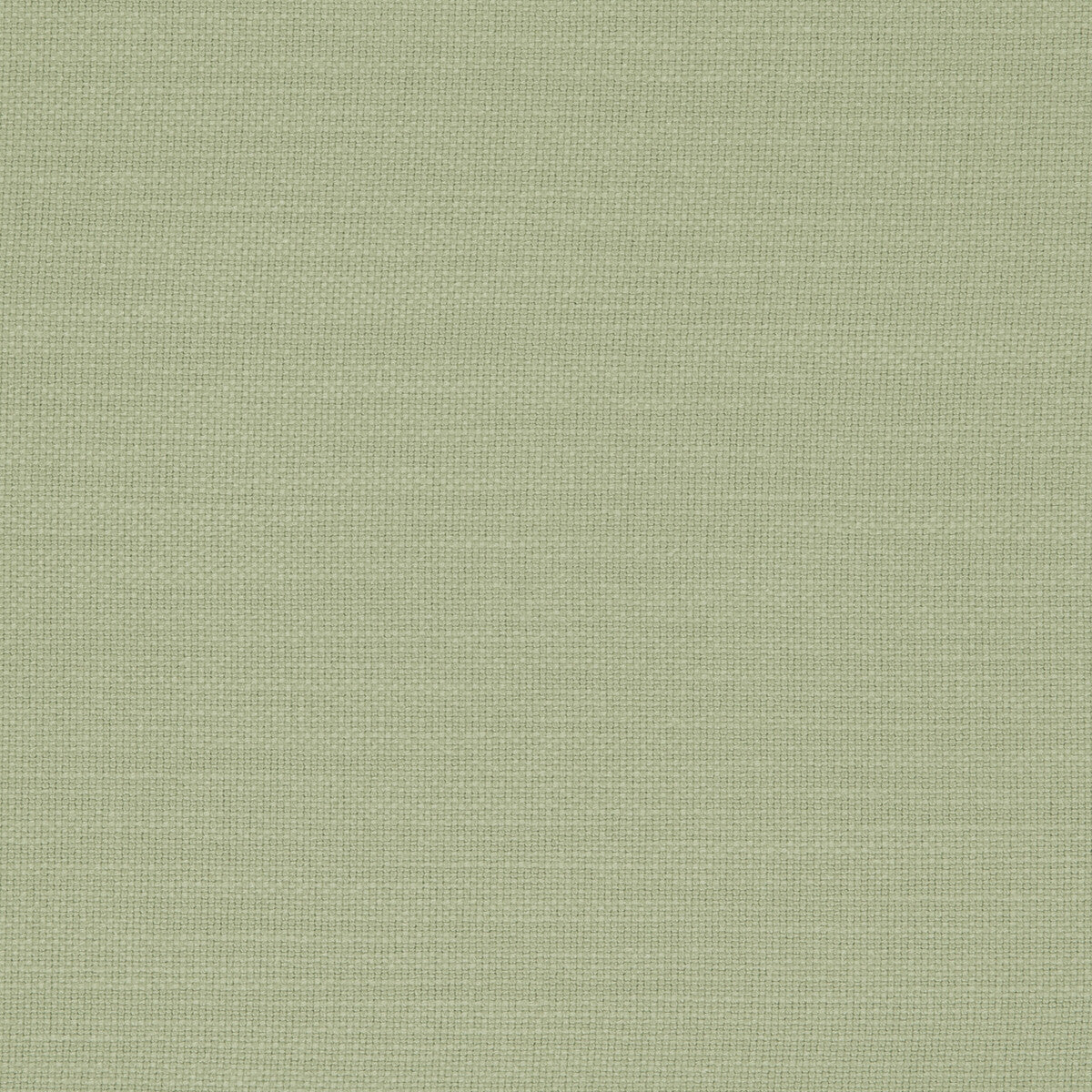 Nantucket fabric in meadow color - pattern F0594/34.CAC.0 - by Clarke And Clarke in the Clarke & Clarke Nantucket collection