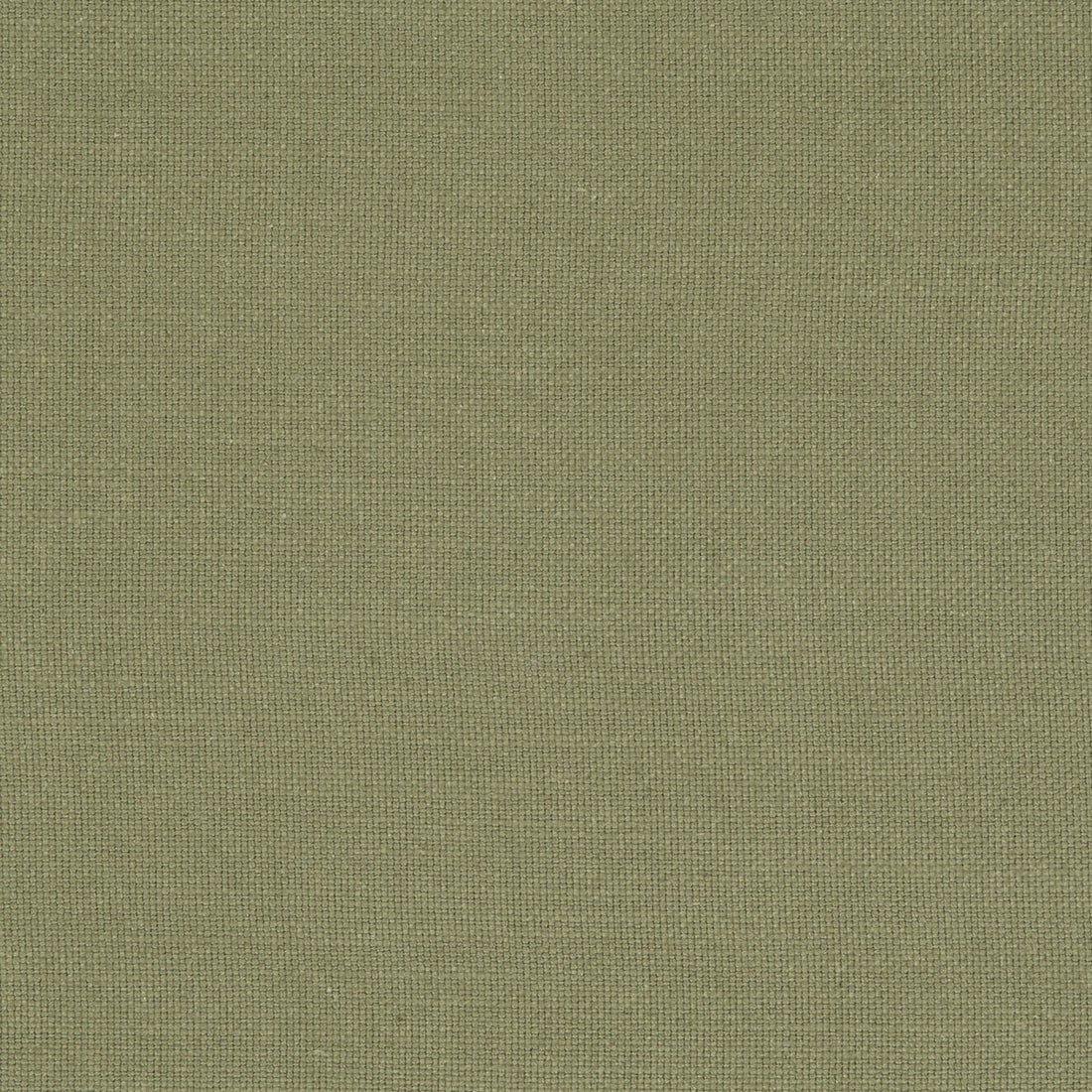 Nantucket fabric in olive color - pattern F0594/35.CAC.0 - by Clarke And Clarke in the Clarke &amp; Clarke Nantucket collection