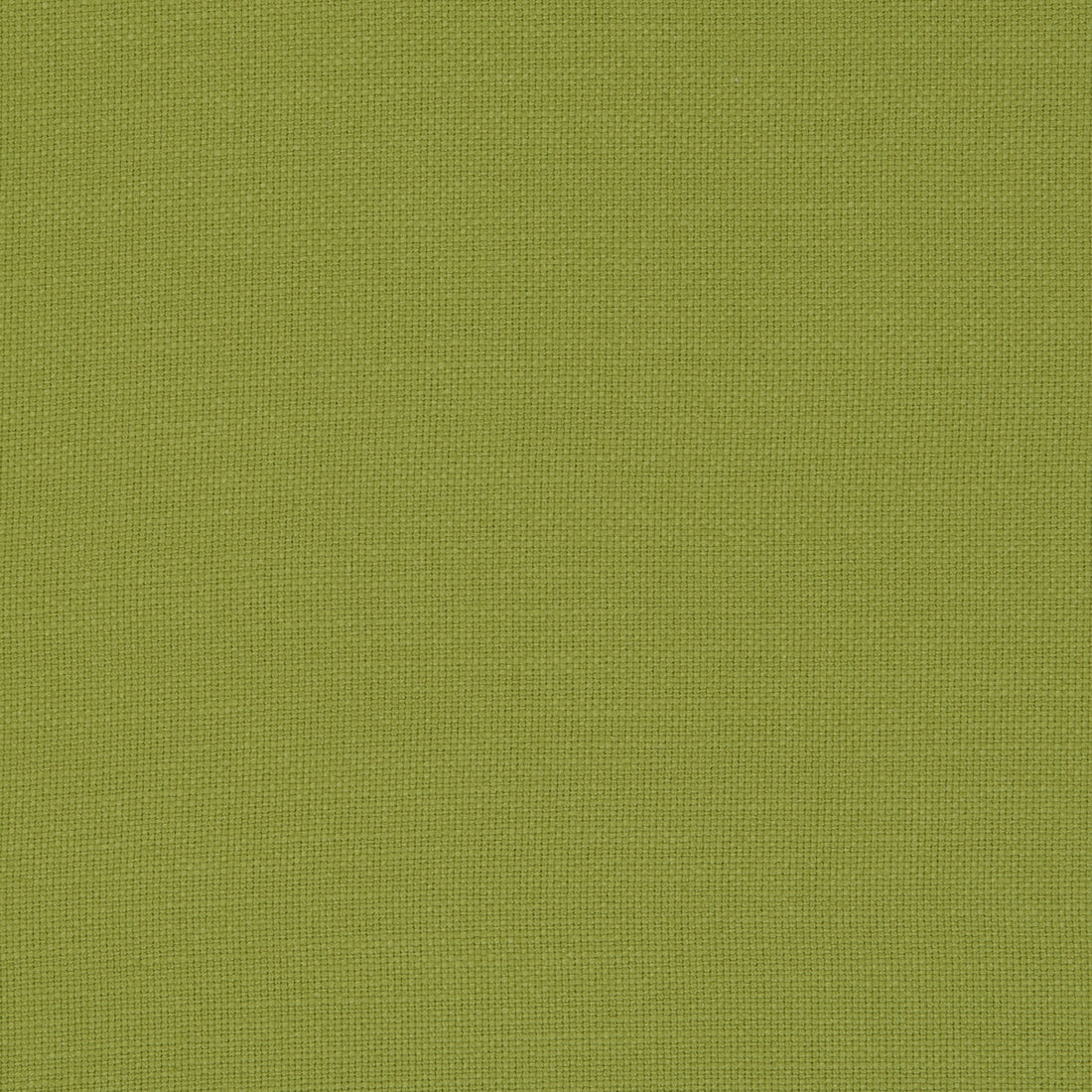 Nantucket fabric in palm color - pattern F0594/36.CAC.0 - by Clarke And Clarke in the Clarke &amp; Clarke Nantucket collection