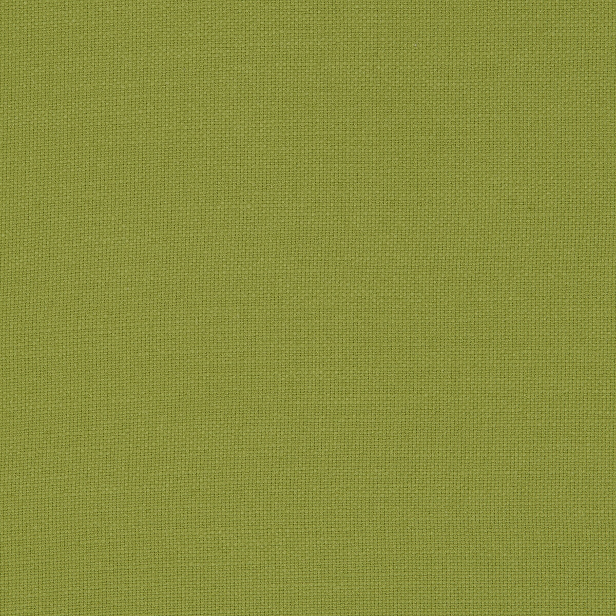 Nantucket fabric in palm color - pattern F0594/36.CAC.0 - by Clarke And Clarke in the Clarke & Clarke Nantucket collection