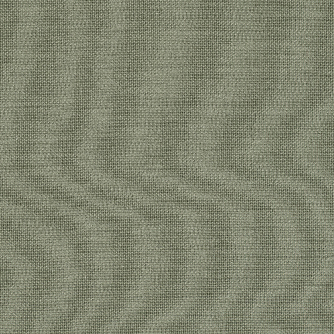 Nantucket fabric in sage color - pattern F0594/44.CAC.0 - by Clarke And Clarke in the Clarke &amp; Clarke Nantucket collection