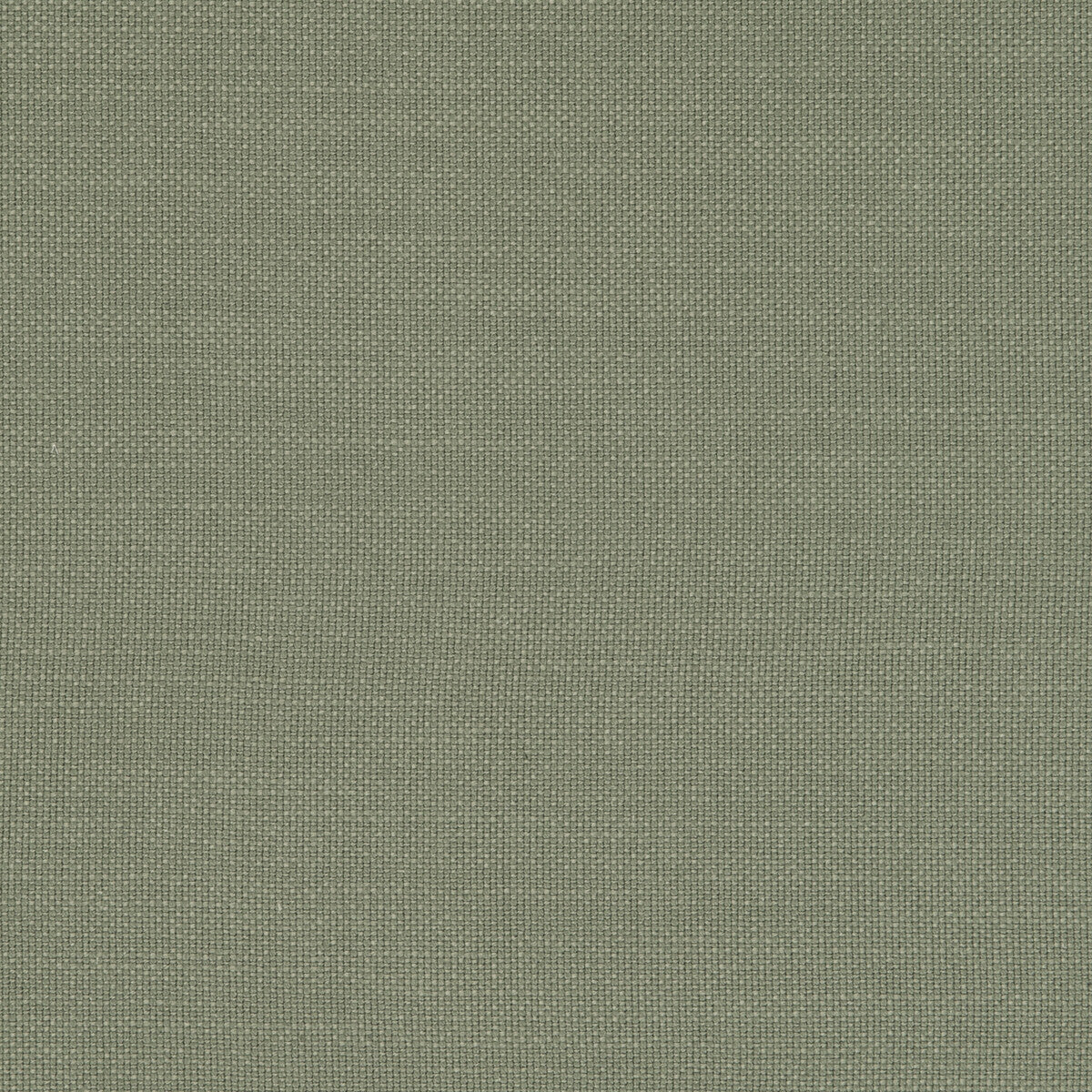 Nantucket fabric in sage color - pattern F0594/44.CAC.0 - by Clarke And Clarke in the Clarke & Clarke Nantucket collection