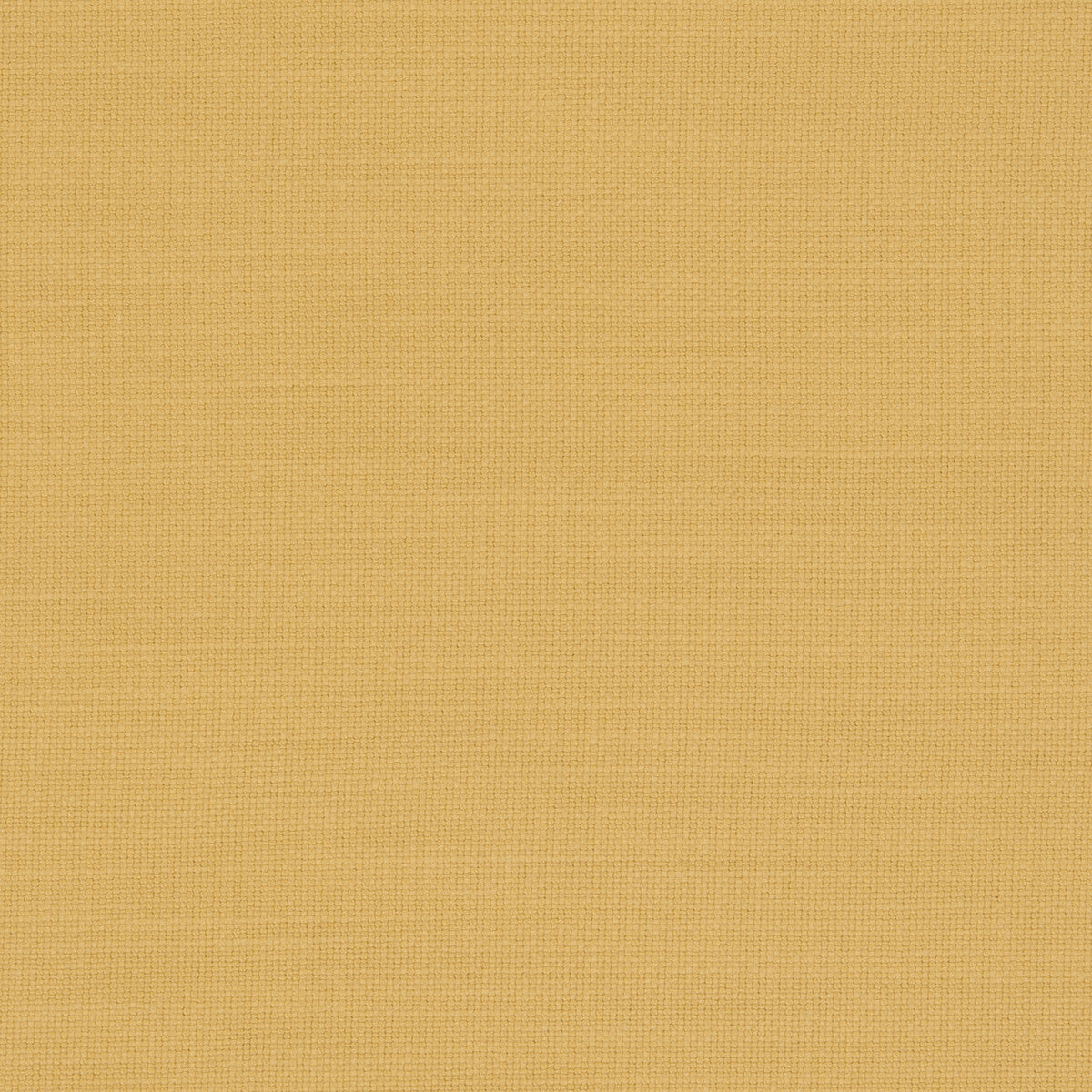 Nantucket fabric in sunflower color - pattern F0594/53.CAC.0 - by Clarke And Clarke in the Clarke & Clarke Nantucket collection