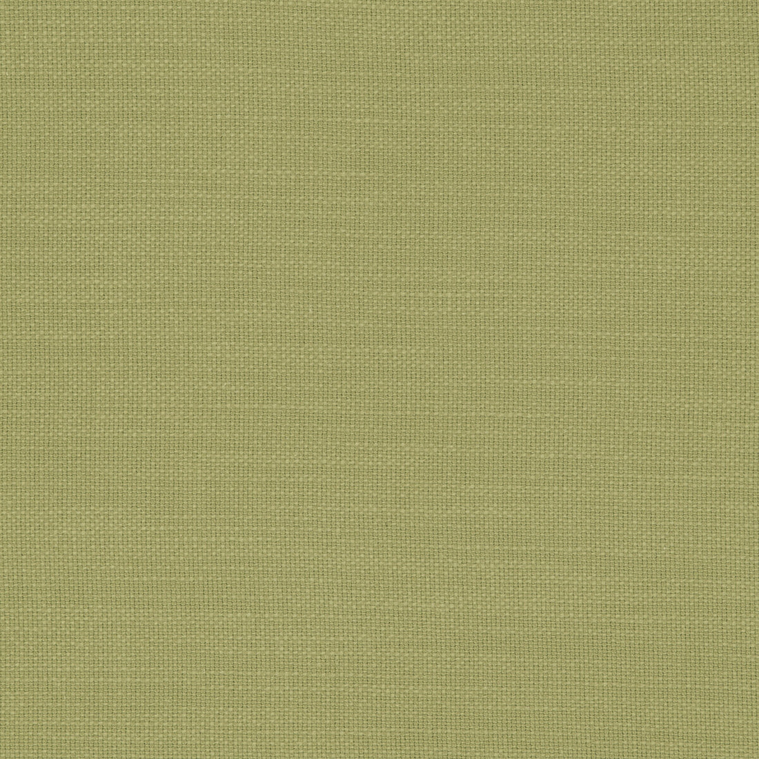 Nantucket fabric in willow color - pattern F0594/56.CAC.0 - by Clarke And Clarke in the Clarke &amp; Clarke Nantucket collection