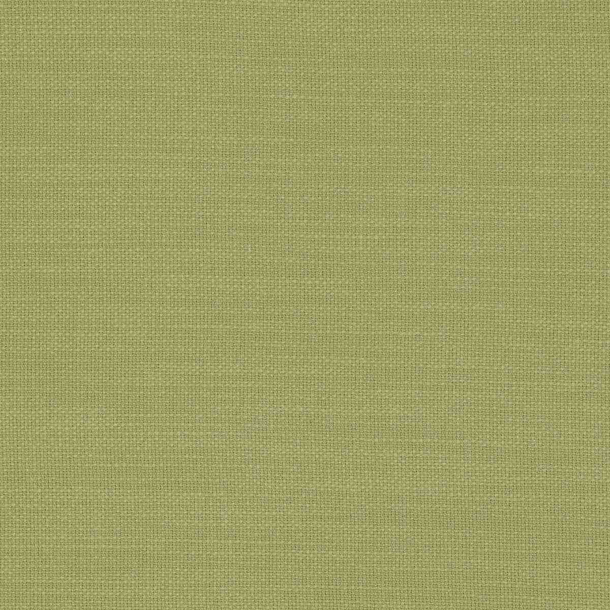 Nantucket fabric in willow color - pattern F0594/56.CAC.0 - by Clarke And Clarke in the Clarke & Clarke Nantucket collection