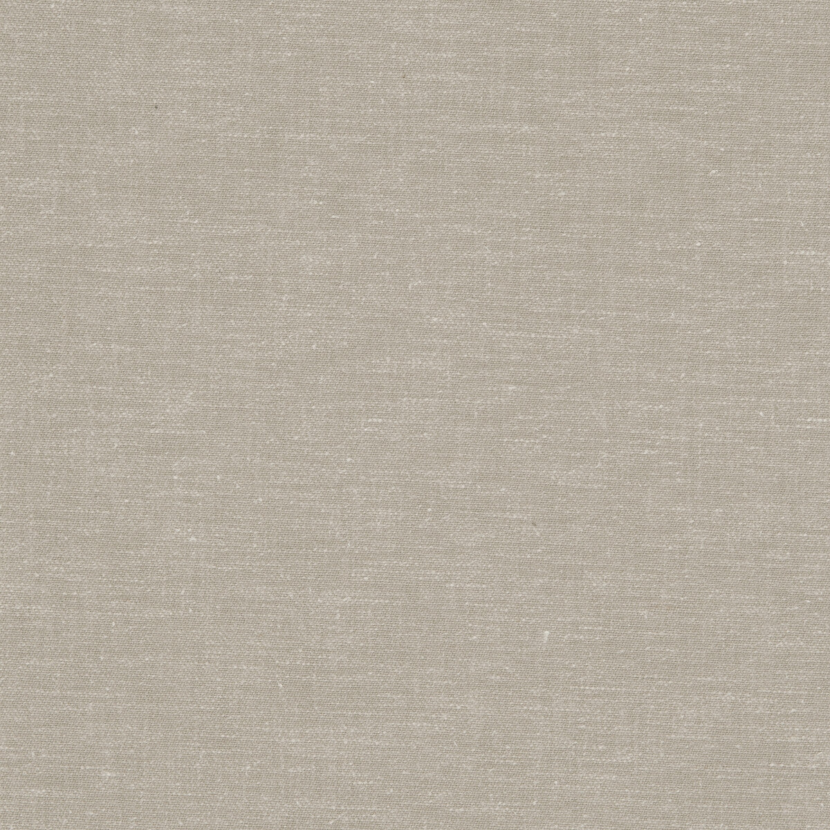 Abbey fabric in natural color - pattern F0595/04.CAC.0 - by Clarke And Clarke in the Clarke & Clarke Ribble Valley collection