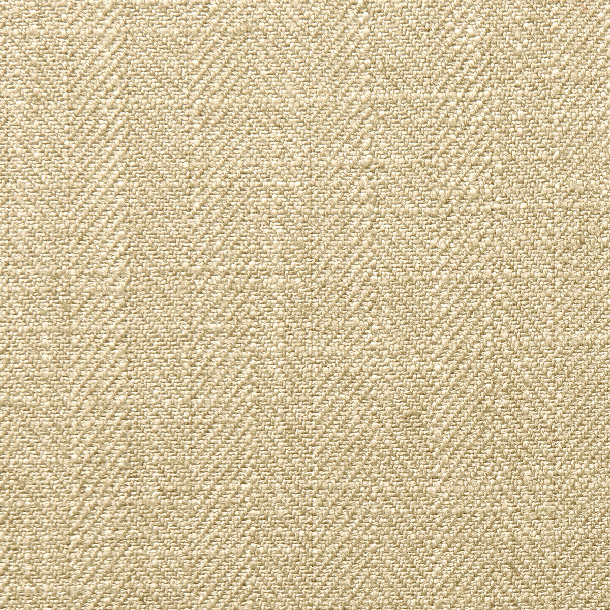 Henley fabric in sesame color - pattern F0648/31.CAC.0 - by Clarke And Clarke in the Clarke & Clarke Henley collection