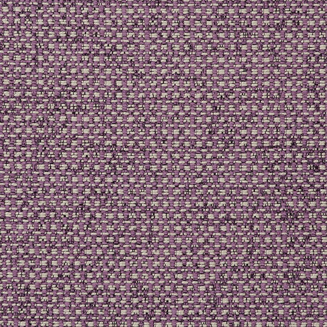 Casanova fabric in orchid color - pattern F0723/13.CAC.0 - by Clarke And Clarke in the Clarke &amp; Clarke Casanova collection