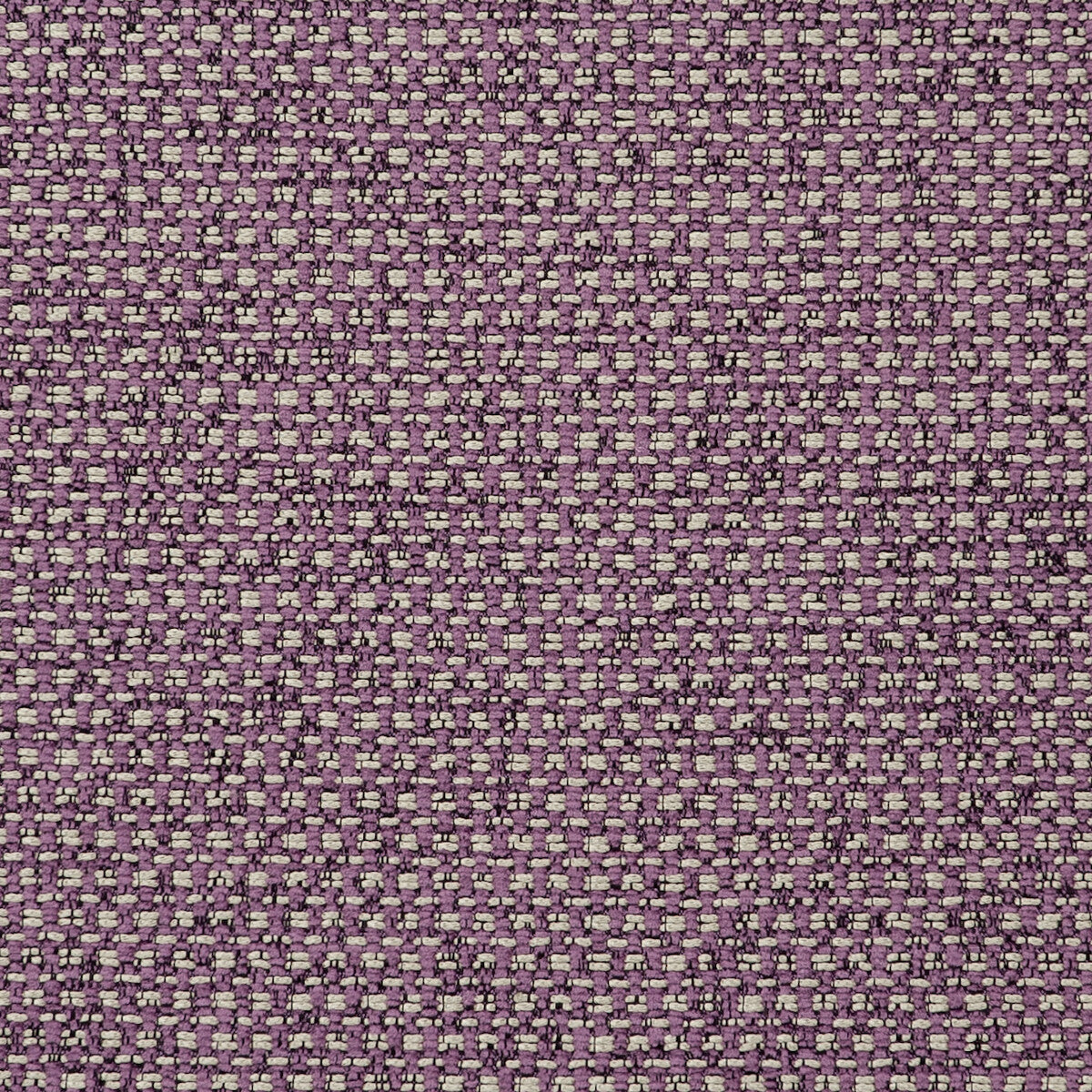 Casanova fabric in orchid color - pattern F0723/13.CAC.0 - by Clarke And Clarke in the Clarke & Clarke Casanova collection