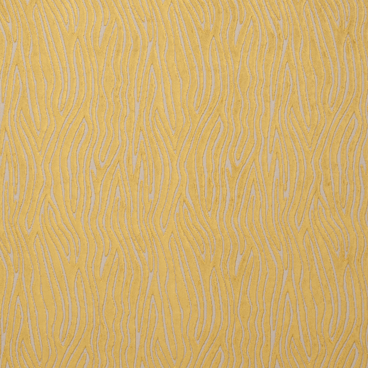 Onda fabric in gold color - pattern F0749/07.CAC.0 - by Clarke And Clarke in the Clarke & Clarke Dimensions collection