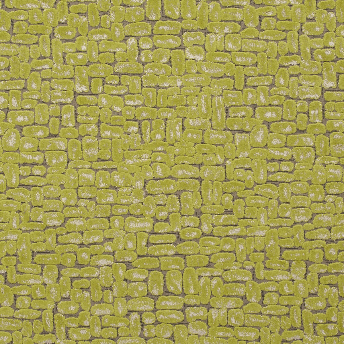 Moda fabric in citrus color - pattern F0752/03.CAC.0 - by Clarke And Clarke in the Clarke & Clarke Dimensions collection