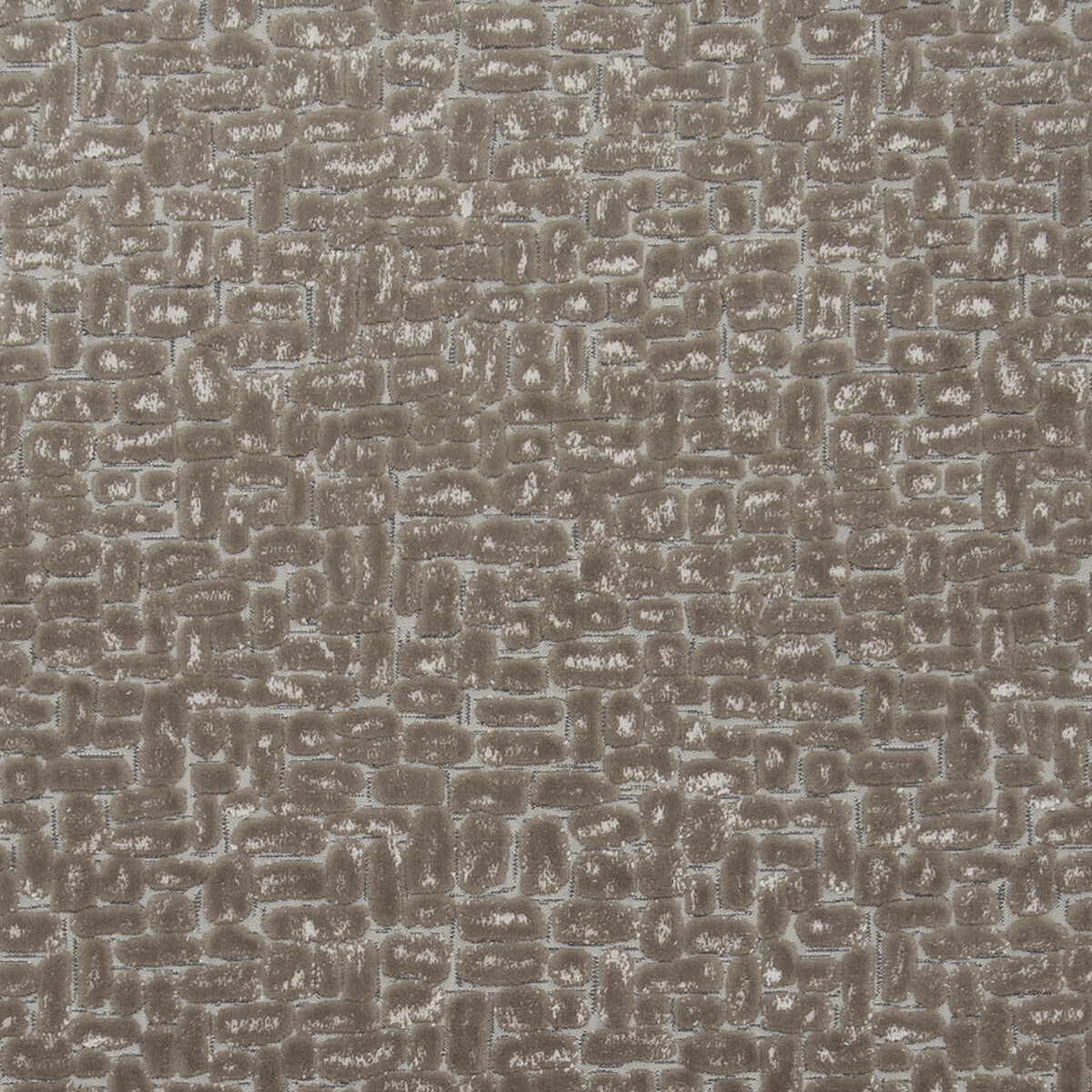 Moda fabric in taupe color - pattern F0752/12.CAC.0 - by Clarke And Clarke in the Clarke & Clarke Dimensions collection
