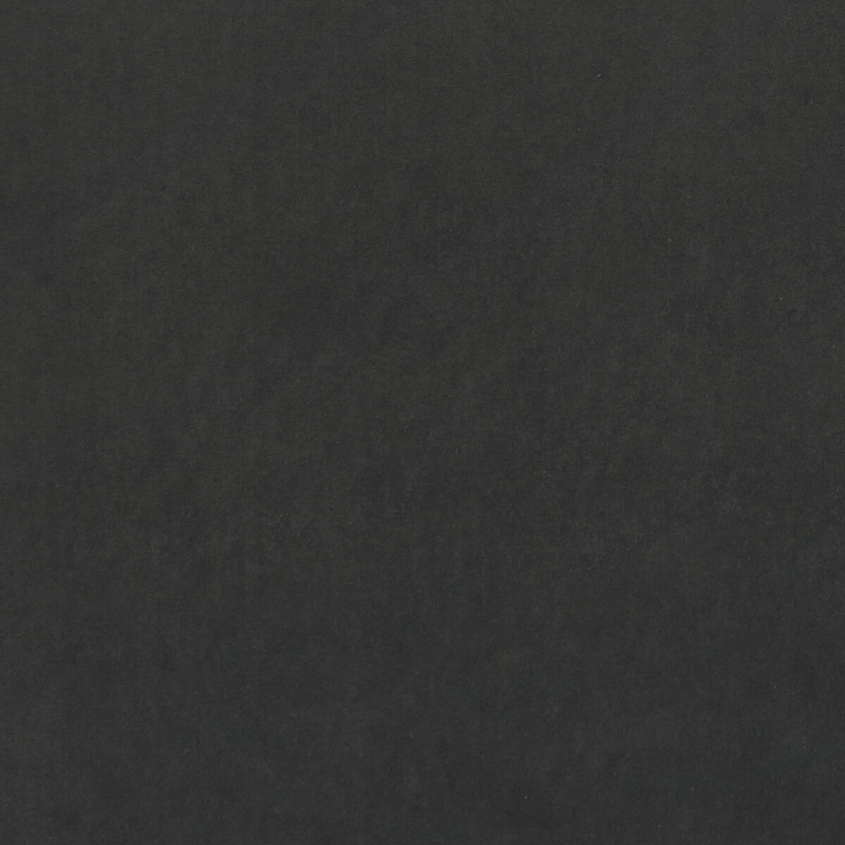 Alvar fabric in charcoal color - pattern F0753/02.CAC.0 - by Clarke And Clarke in the Clarke & Clarke Alvar collection