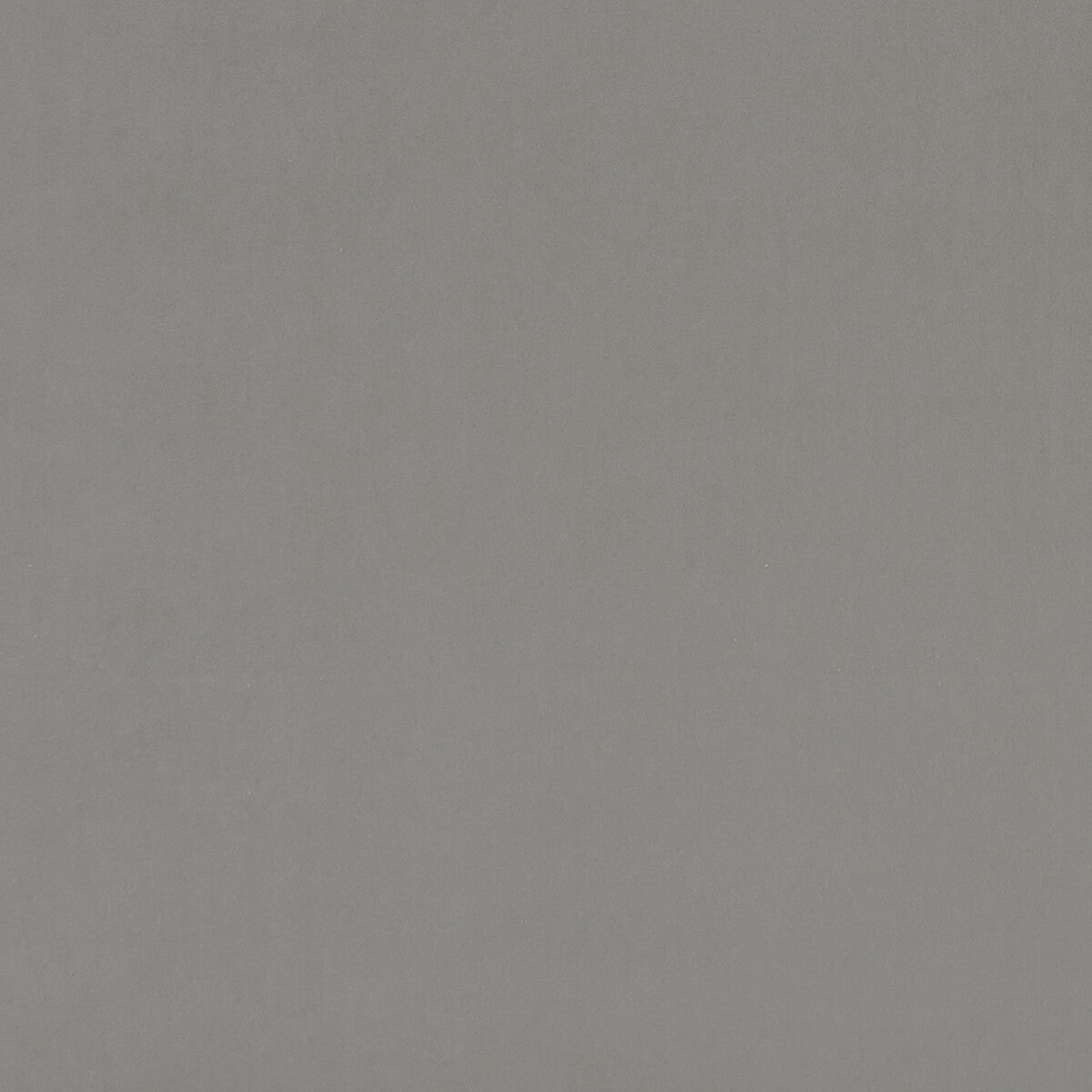 Alvar fabric in cobble color - pattern F0753/03.CAC.0 - by Clarke And Clarke in the Clarke & Clarke Alvar collection