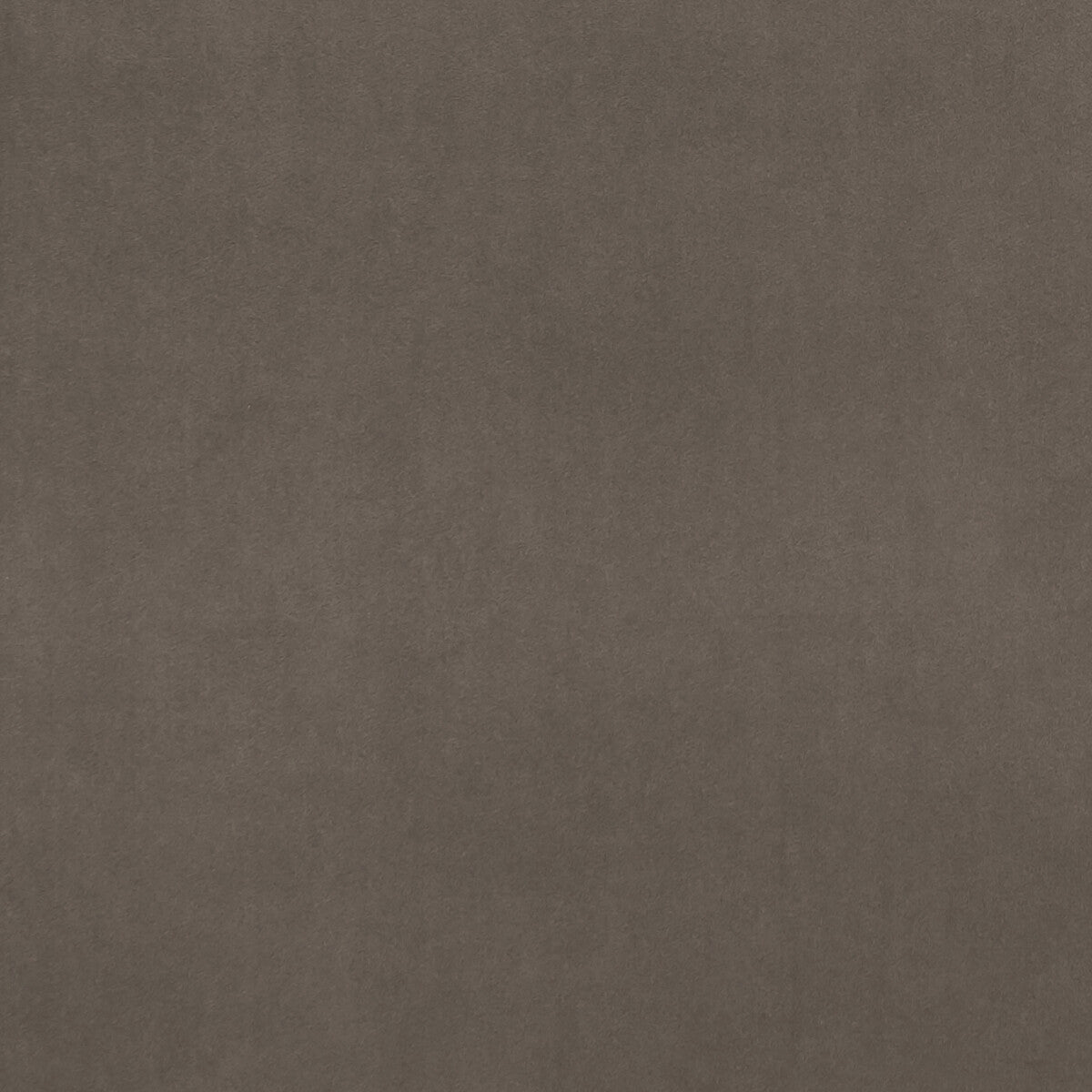 Alvar fabric in mocha color - pattern F0753/07.CAC.0 - by Clarke And Clarke in the Clarke & Clarke Alvar collection