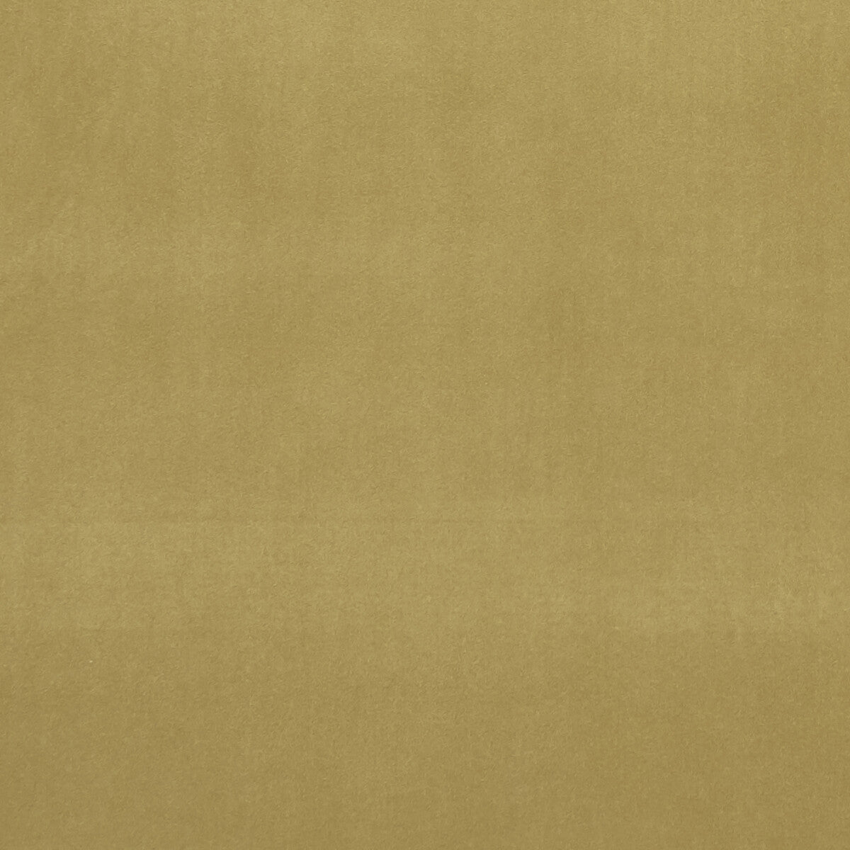 Alvar fabric in olive color - pattern F0753/09.CAC.0 - by Clarke And Clarke in the Clarke & Clarke Alvar collection