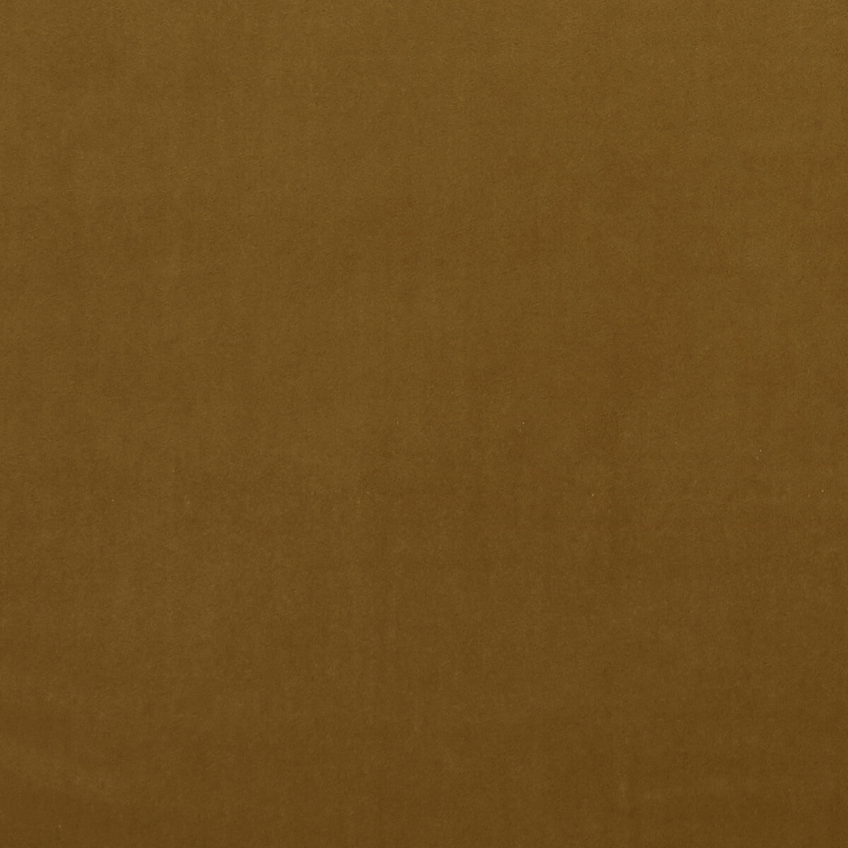 Alvar fabric in turmeric color - pattern F0753/100.CAC.0 - by Clarke And Clarke in the Clarke & Clarke Alvar collection