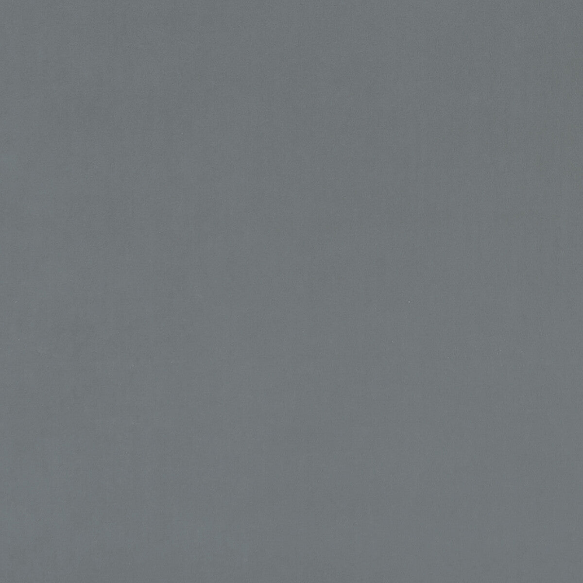 Alvar fabric in slate color - pattern F0753/14.CAC.0 - by Clarke And Clarke in the Clarke & Clarke Alvar collection