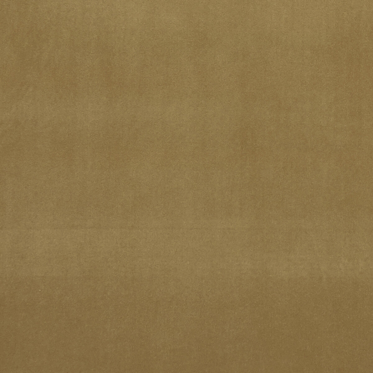 Alvar fabric in antique color - pattern F0753/21.CAC.0 - by Clarke And Clarke in the Clarke & Clarke Alvar collection