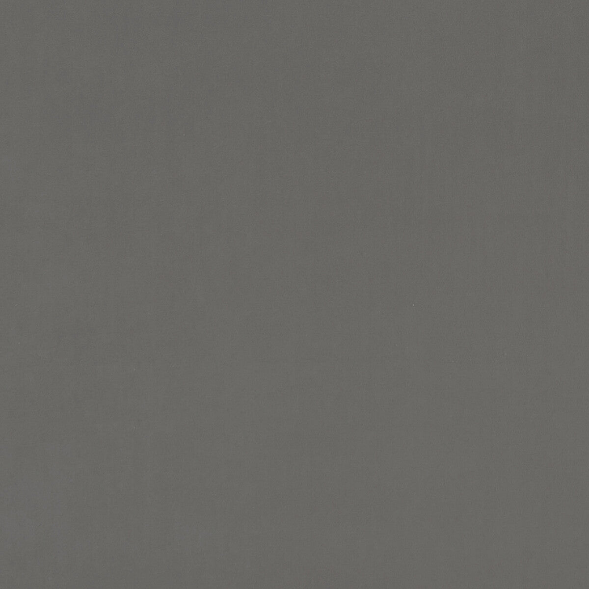 Alvar fabric in ash color - pattern F0753/23.CAC.0 - by Clarke And Clarke in the Clarke & Clarke Alvar collection