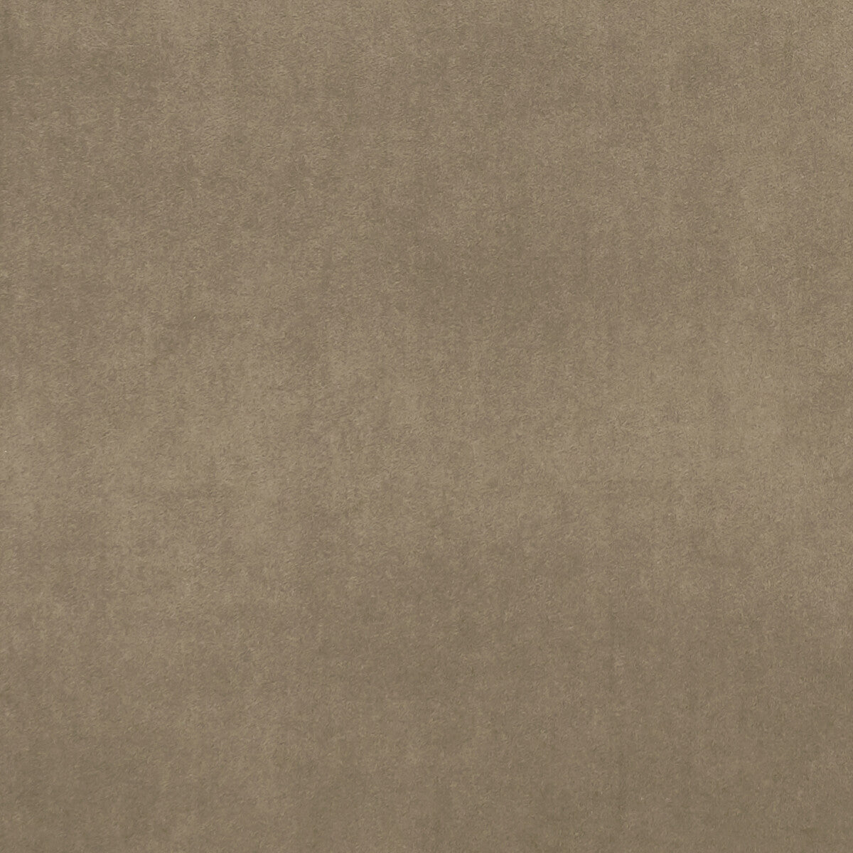 Alvar fabric in bark color - pattern F0753/24.CAC.0 - by Clarke And Clarke in the Clarke & Clarke Alvar collection