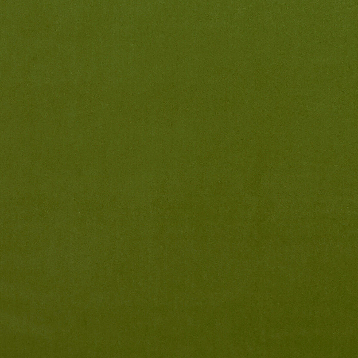 Alvar fabric in citron color - pattern F0753/33.CAC.0 - by Clarke And Clarke in the Clarke & Clarke Alvar collection