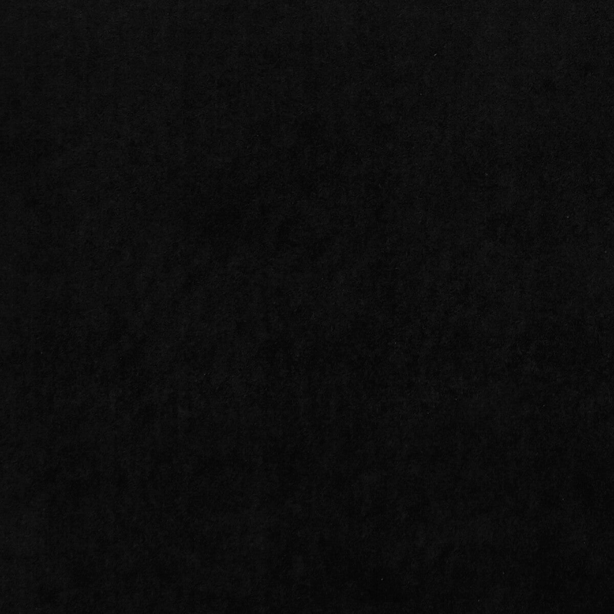 Alvar fabric in ebony color - pattern F0753/35.CAC.0 - by Clarke And Clarke in the Clarke & Clarke Alvar collection