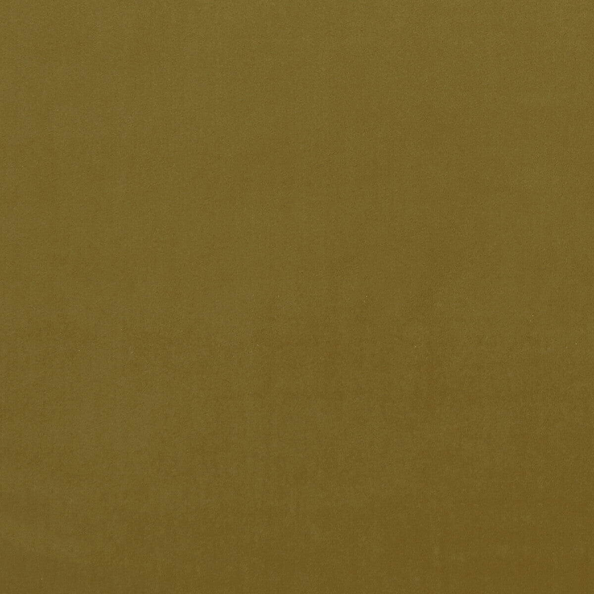 Alvar fabric in gold color - pattern F0753/39.CAC.0 - by Clarke And Clarke in the Clarke & Clarke Alvar collection