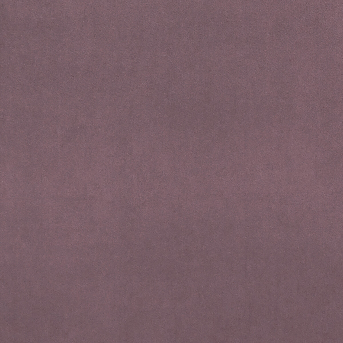 Alvar fabric in lavender color - pattern F0753/42.CAC.0 - by Clarke And Clarke in the Clarke & Clarke Alvar collection