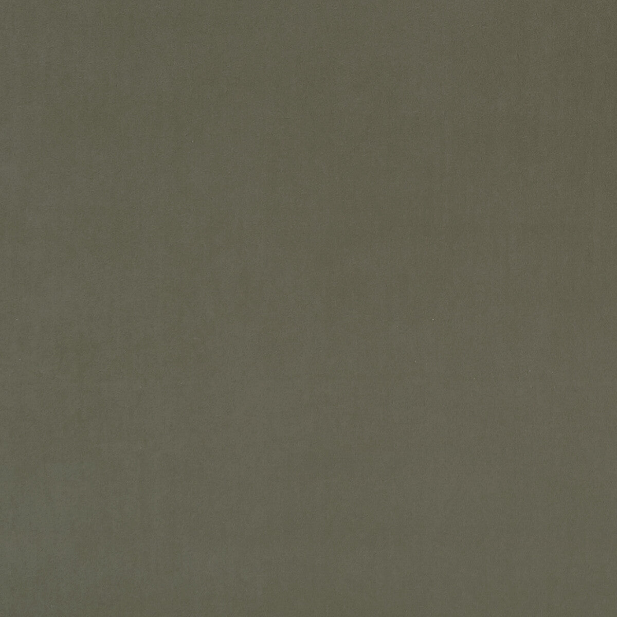 Alvar fabric in sage color - pattern F0753/46.CAC.0 - by Clarke And Clarke in the Clarke & Clarke Alvar collection