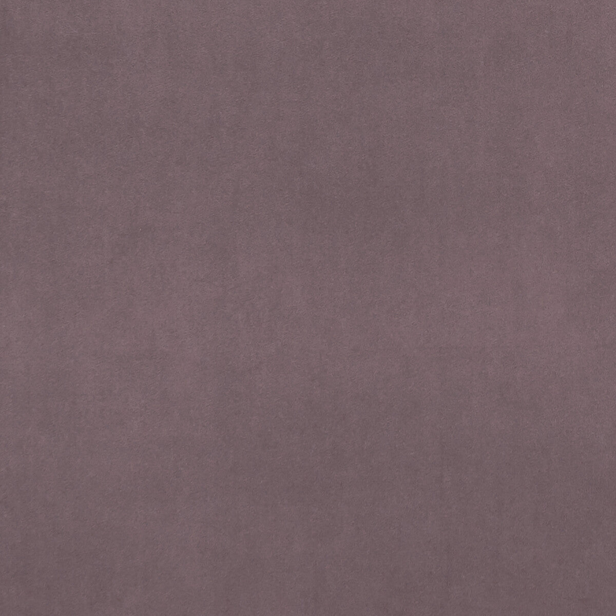 Alvar fabric in amethyst color - pattern F0753/50.CAC.0 - by Clarke And Clarke in the Clarke & Clarke Alvar 2 collection