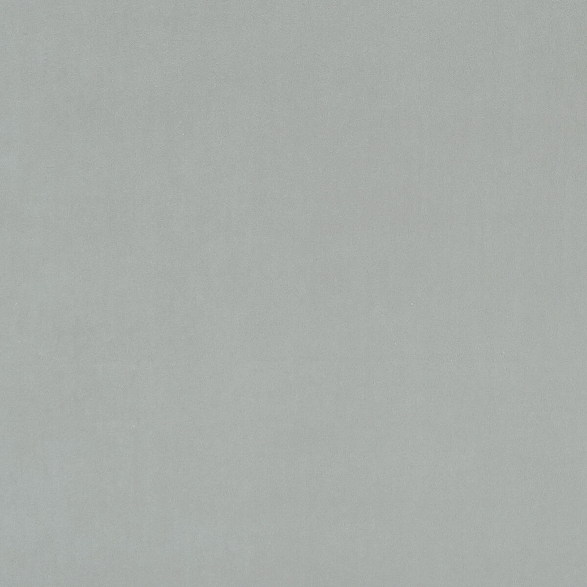 Alvar fabric in dove color - pattern F0753/61.CAC.0 - by Clarke And Clarke in the Clarke & Clarke Alvar 2 collection