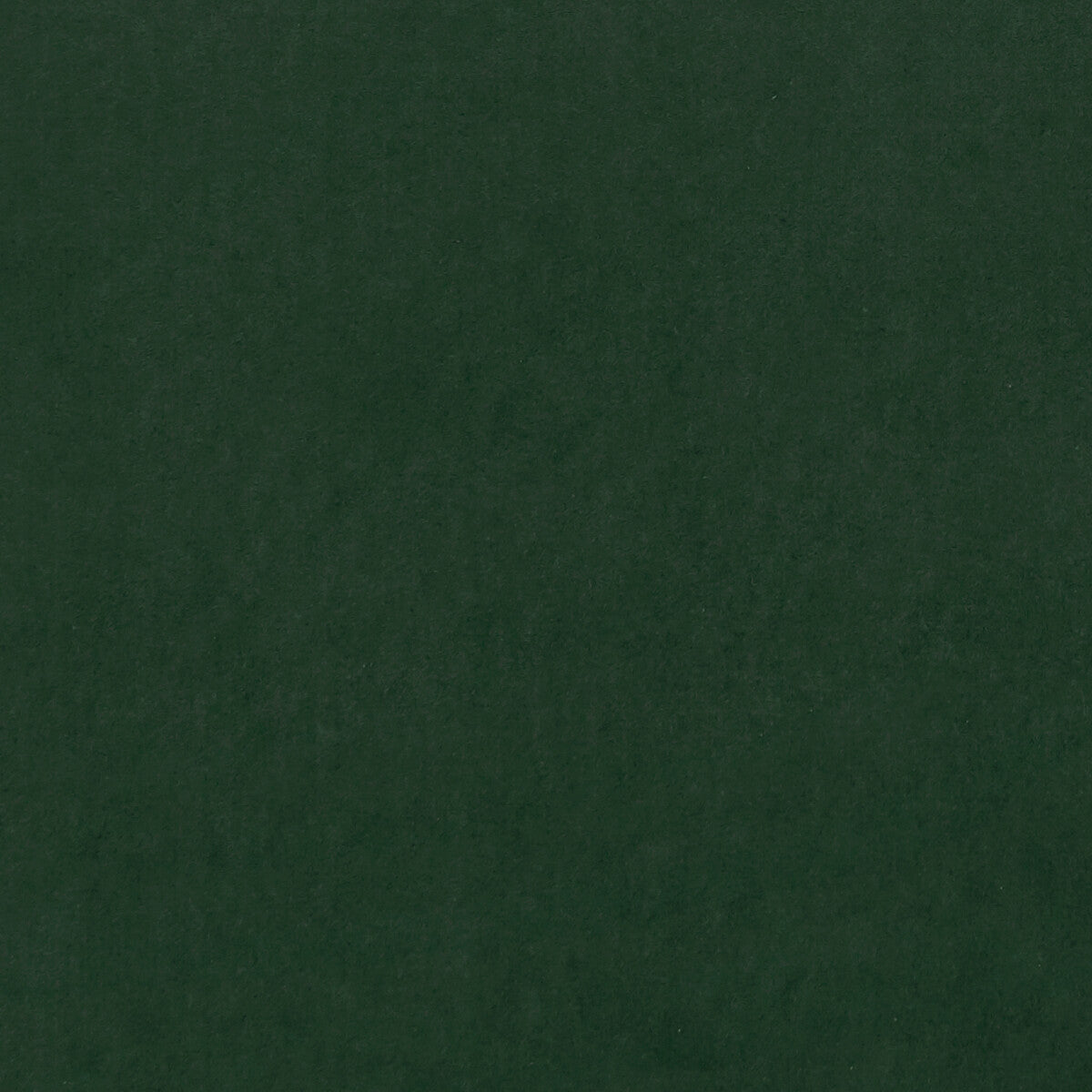 Alvar fabric in emerald color - pattern F0753/63.CAC.0 - by Clarke And Clarke in the Clarke & Clarke Alvar 2 collection