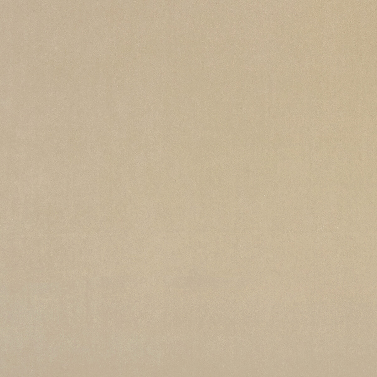 Alvar fabric in flaxen color - pattern F0753/64.CAC.0 - by Clarke And Clarke in the Clarke & Clarke Alvar 2 collection