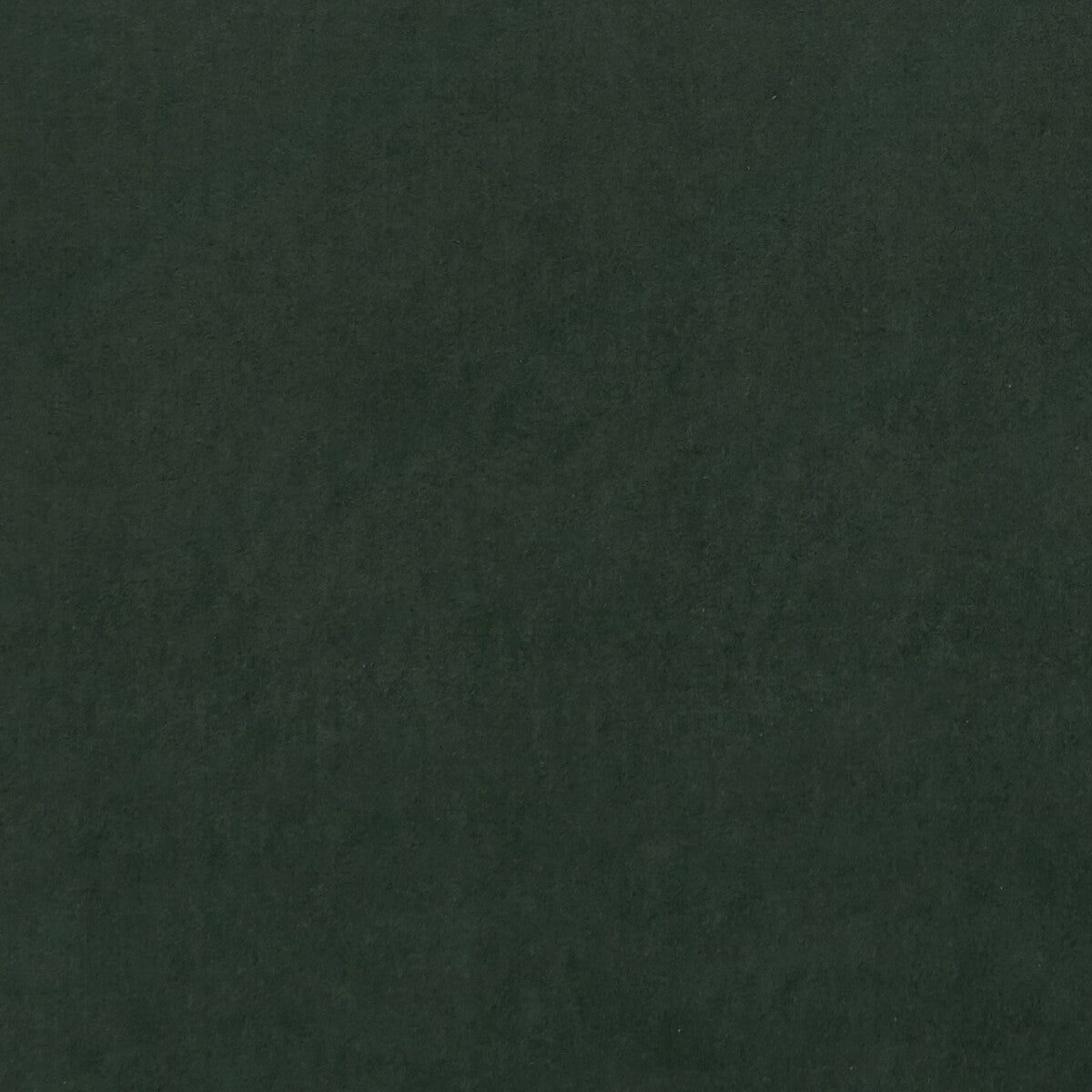 Alvar fabric in forest color - pattern F0753/65.CAC.0 - by Clarke And Clarke in the Clarke & Clarke Alvar 2 collection