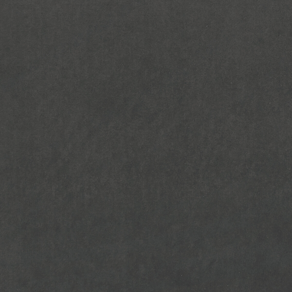 Alvar fabric in gunmetal color - pattern F0753/69.CAC.0 - by Clarke And Clarke in the Clarke & Clarke Alvar 2 collection