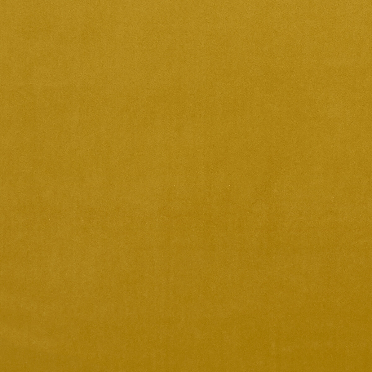 Alvar fabric in honey color - pattern F0753/72.CAC.0 - by Clarke And Clarke in the Clarke & Clarke Alvar 2 collection