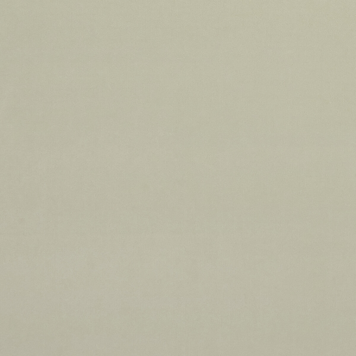 Alvar fabric in ivory color - pattern F0753/74.CAC.0 - by Clarke And Clarke in the Clarke & Clarke Alvar 2 collection