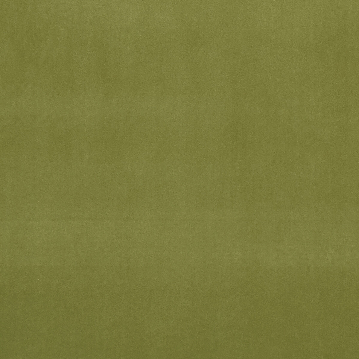 Alvar fabric in leaf color - pattern F0753/77.CAC.0 - by Clarke And Clarke in the Clarke & Clarke Alvar 2 collection