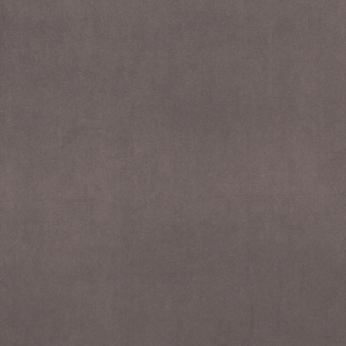 Alvar fabric in mink color - pattern F0753/79.CAC.0 - by Clarke And Clarke in the Clarke & Clarke Alvar 2 collection