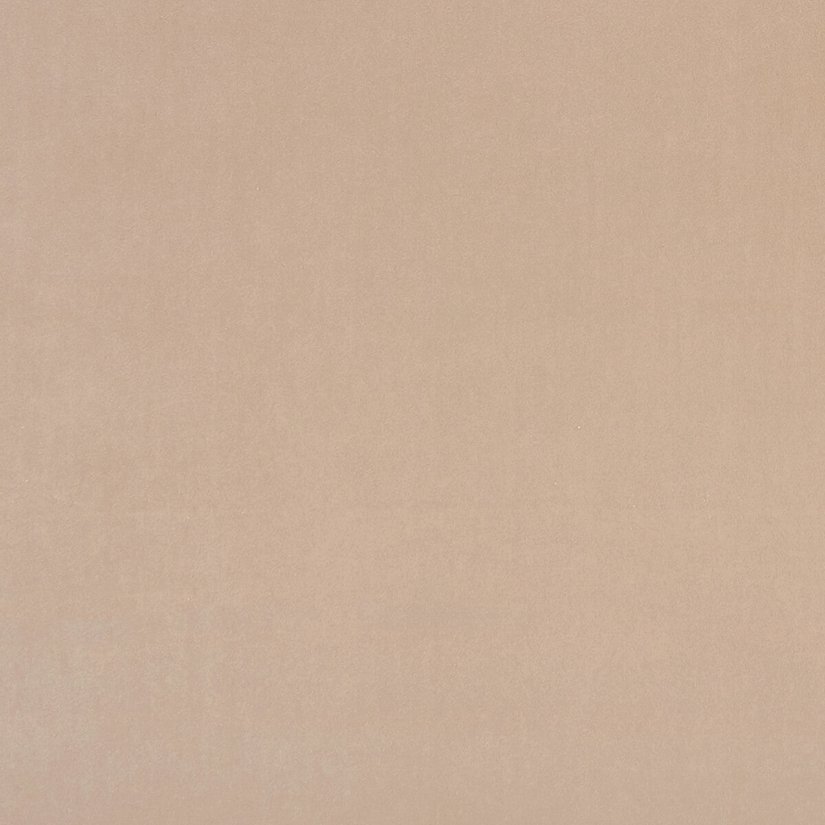 Alvar fabric in nude color - pattern F0753/84.CAC.0 - by Clarke And Clarke in the Clarke & Clarke Alvar 2 collection
