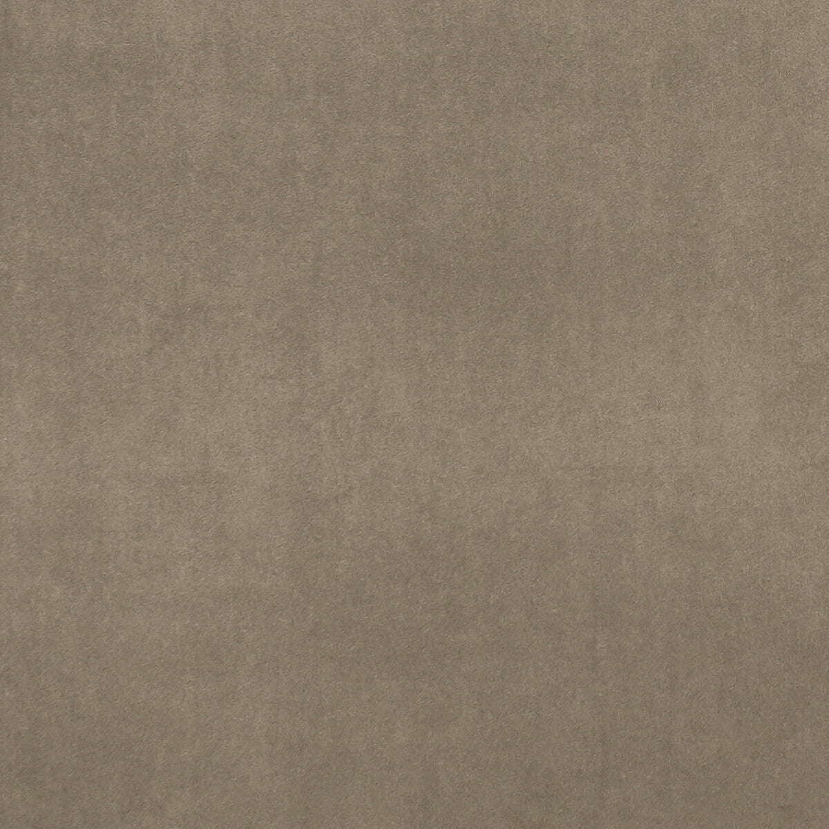 Alvar fabric in oak color - pattern F0753/86.CAC.0 - by Clarke And Clarke in the Clarke & Clarke Alvar 2 collection