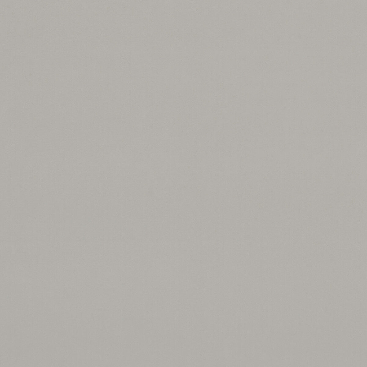 Alvar fabric in pebble color - pattern F0753/88.CAC.0 - by Clarke And Clarke in the Clarke & Clarke Alvar 2 collection