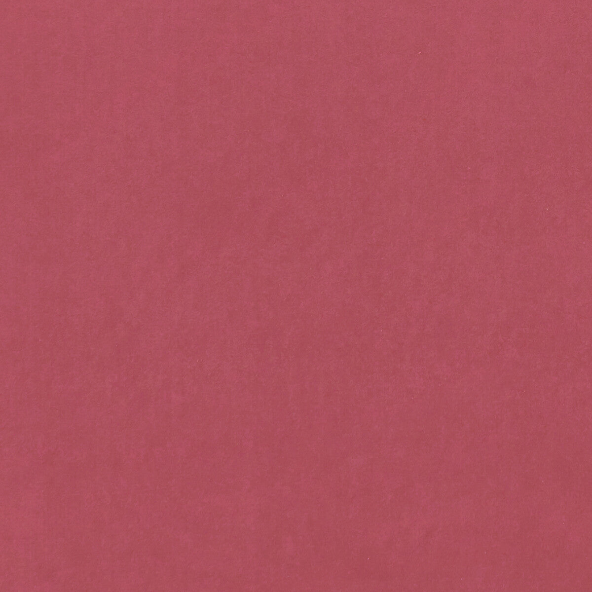 Alvar fabric in peony color - pattern F0753/89.CAC.0 - by Clarke And Clarke in the Clarke & Clarke Alvar 2 collection