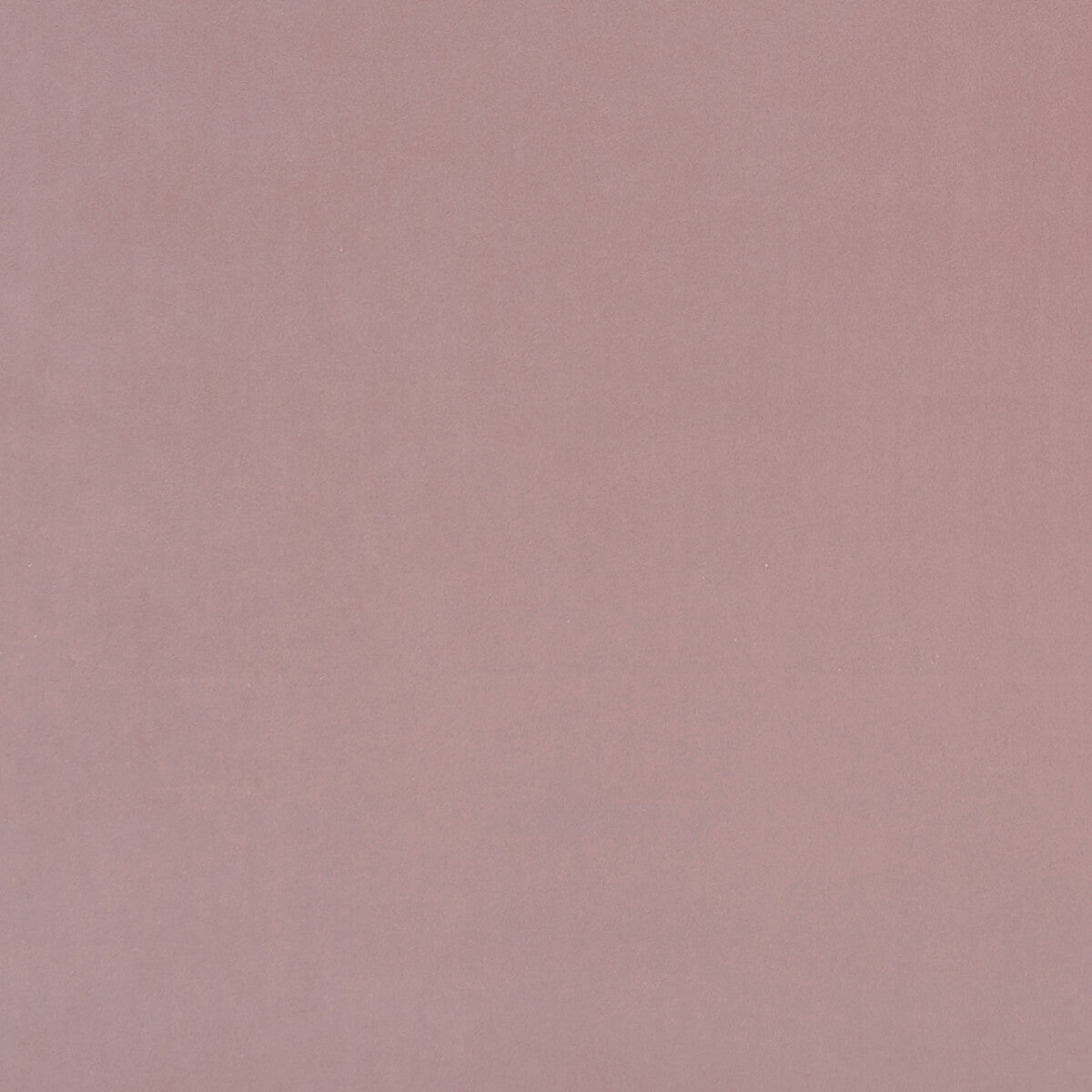 Alvar fabric in quartz color - pattern F0753/91.CAC.0 - by Clarke And Clarke in the Clarke & Clarke Alvar 2 collection