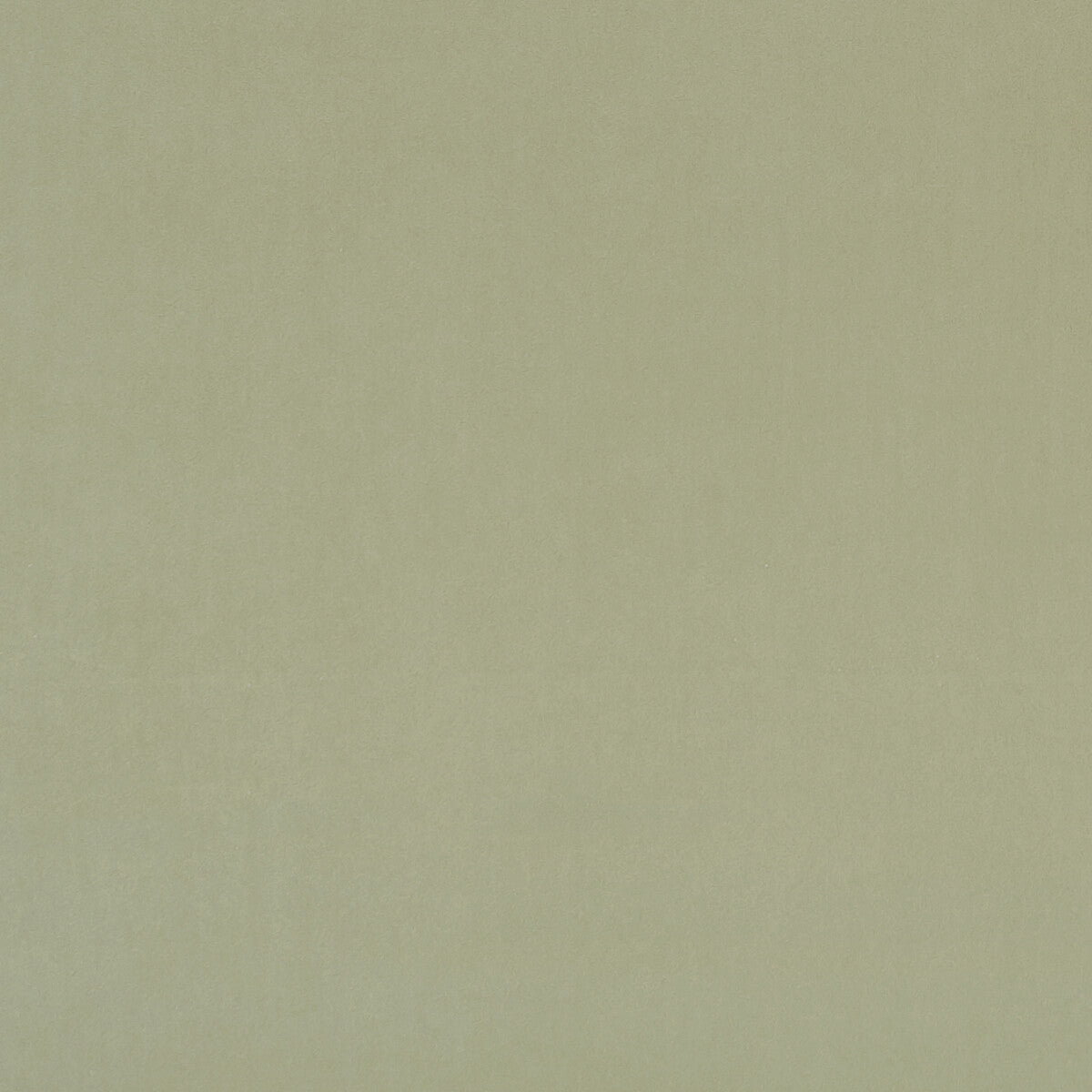 Alvar fabric in thyme color - pattern F0753/98.CAC.0 - by Clarke And Clarke in the Clarke & Clarke Alvar 2 collection