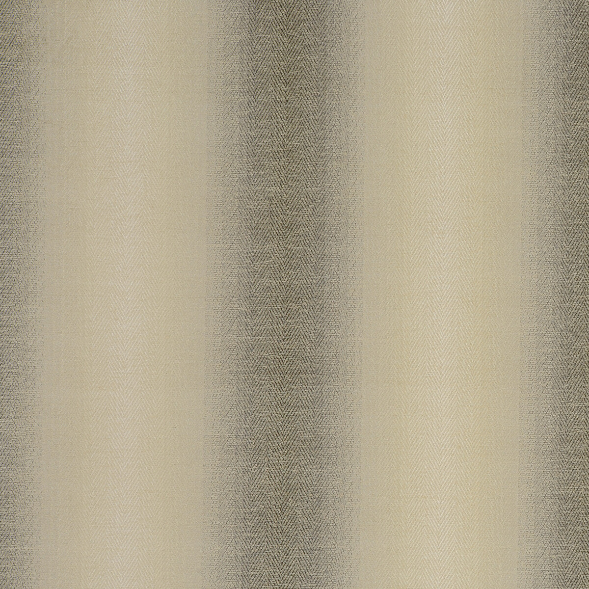 Antico fabric in charcoal color - pattern F0789/03.CAC.0 - by Clarke And Clarke in the Clarke & Clarke Palladio collection