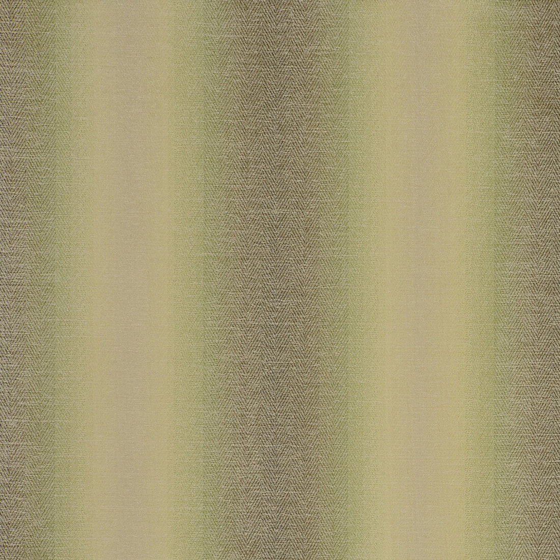 Antico fabric in olive color - pattern F0789/06.CAC.0 - by Clarke And Clarke in the Clarke &amp; Clarke Palladio collection